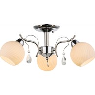 PERDITA 54711-3