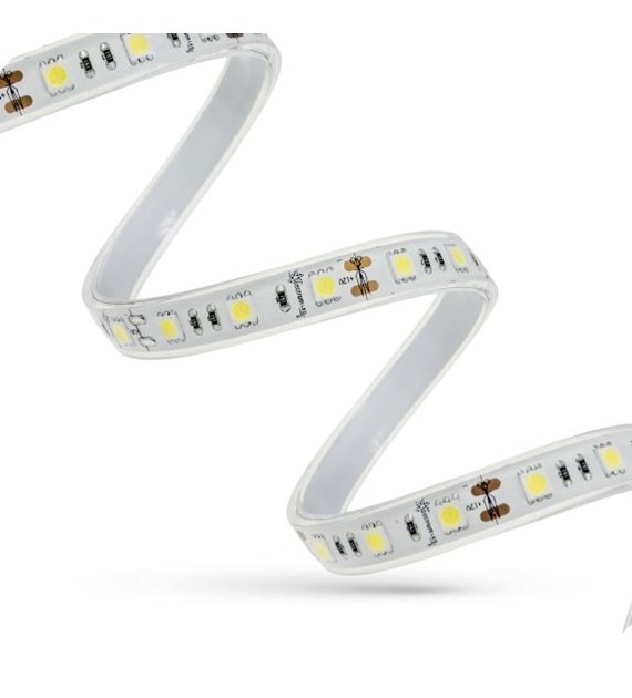 PASEK LED 48W 5050 60LED CW 5 lat 1m (rolka 5m) -w