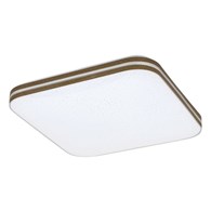 Oscar 71178