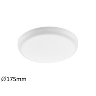 Oleg 5369
