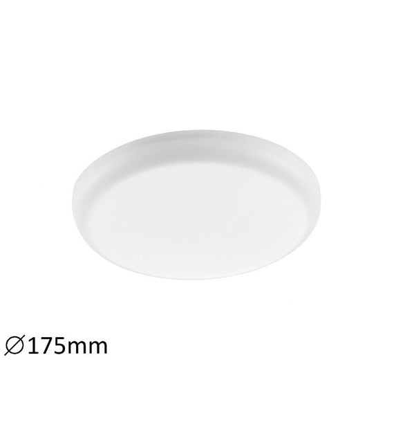 Oleg 5369