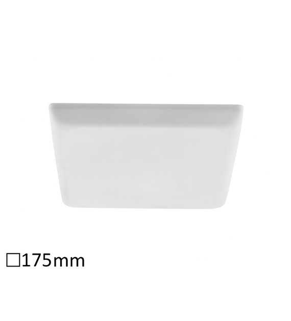 Oleg 5373