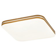 Oscar 71174
