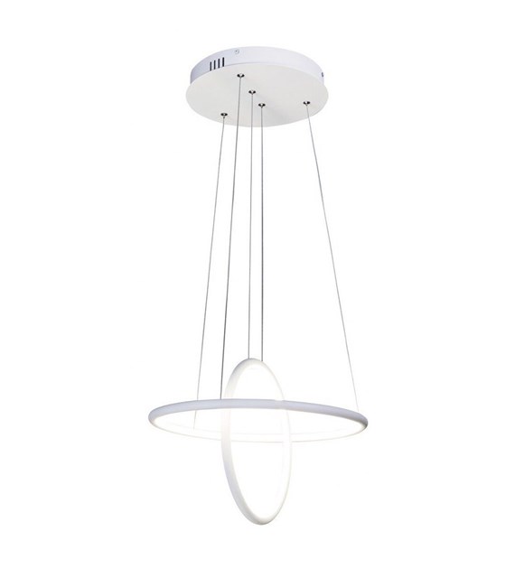 Donatella 2544