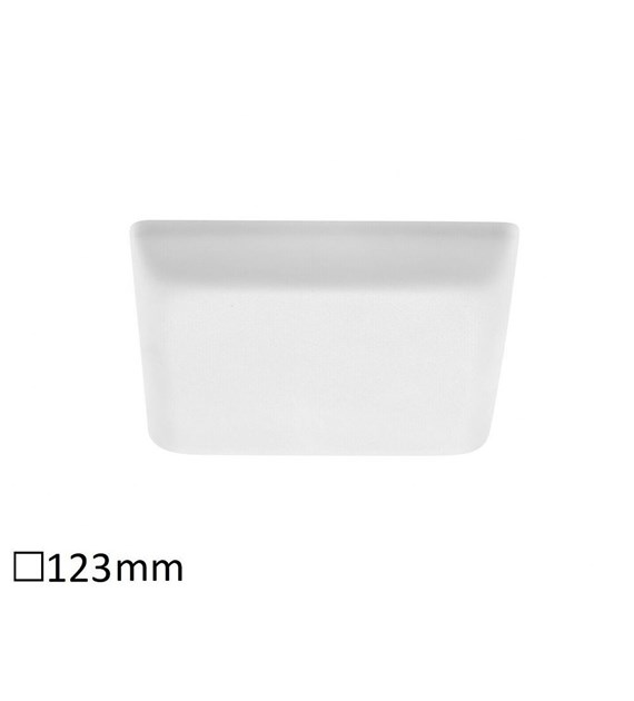 Oleg 5372
