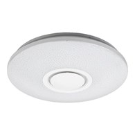 Rodion 3509