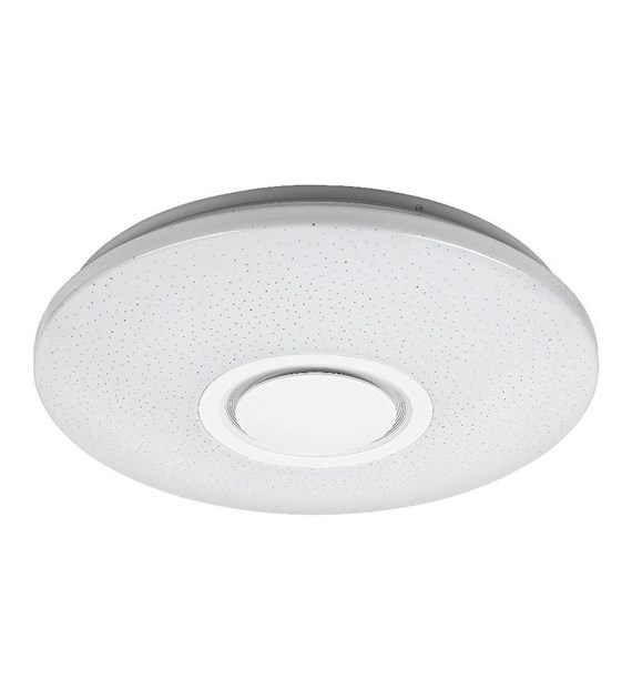 Rodion 3509