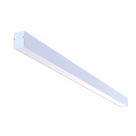 CL 8296
