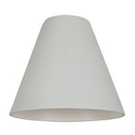 CAMELEON CONE 8500