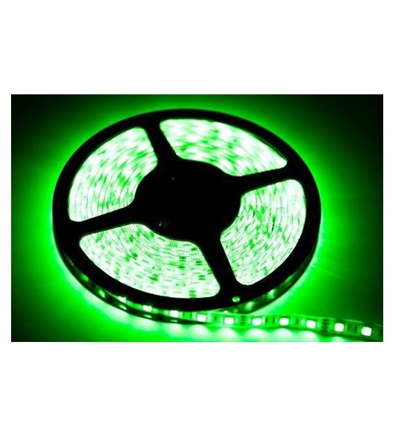 Taśma LED 5m 60LED 24W zielony IP20 EKPL884