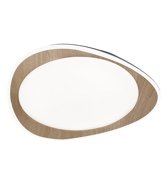 TAMINO 2427