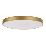 TESIA 71038