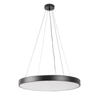TESIA 71041