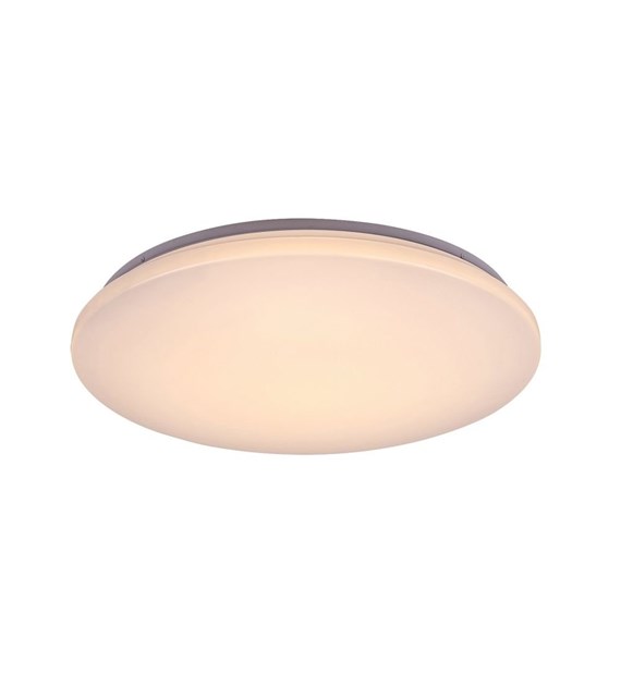 CERRIGEN 71036