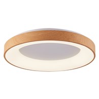 LED 50W SANTANA 60 CCT WO AZ4993