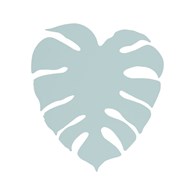 MONSTERA XL MINT 5913