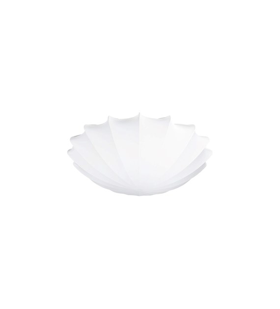 CAMELLIA 108501
