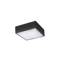 20W + pilot MONZA S22 CCT AZ4770