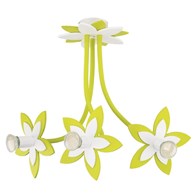 Flowers 6898