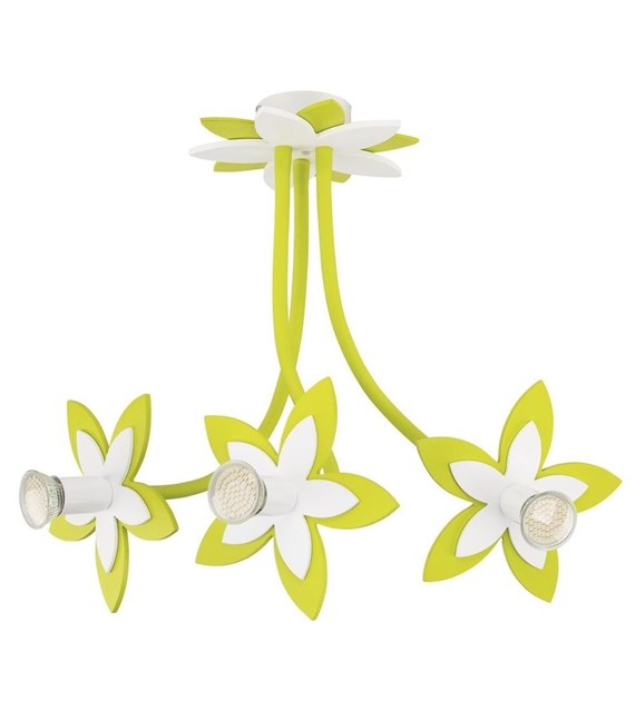 Flowers 6898