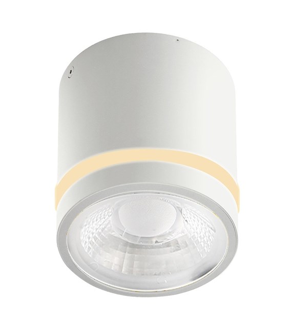 Vici CCT SWITCH WH AZ6040