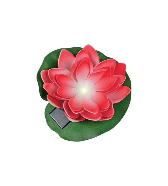 KWIAT LOTOSU SW-5033-R