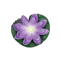 KWIAT LOTOSU SW-5033-P