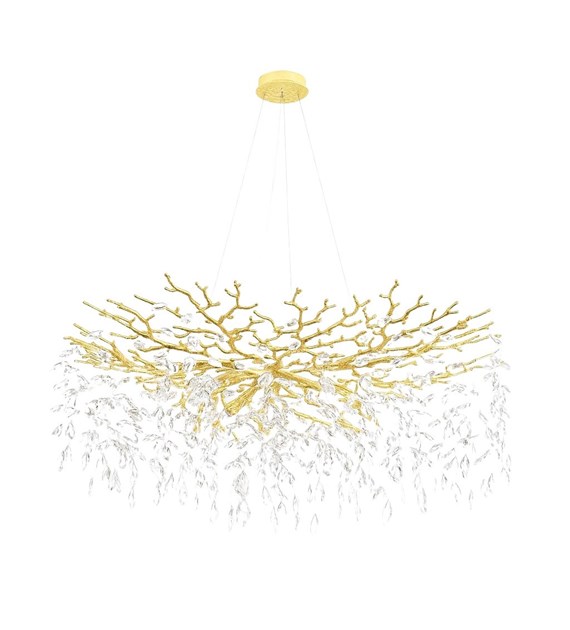 CINDY MD4115-13IGN-II