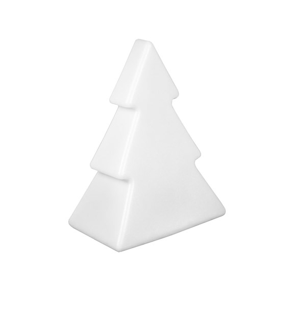 PINUS 3136