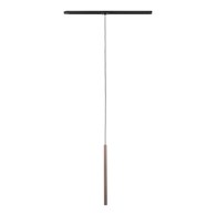 TRACER BROWN 1XG9 10816