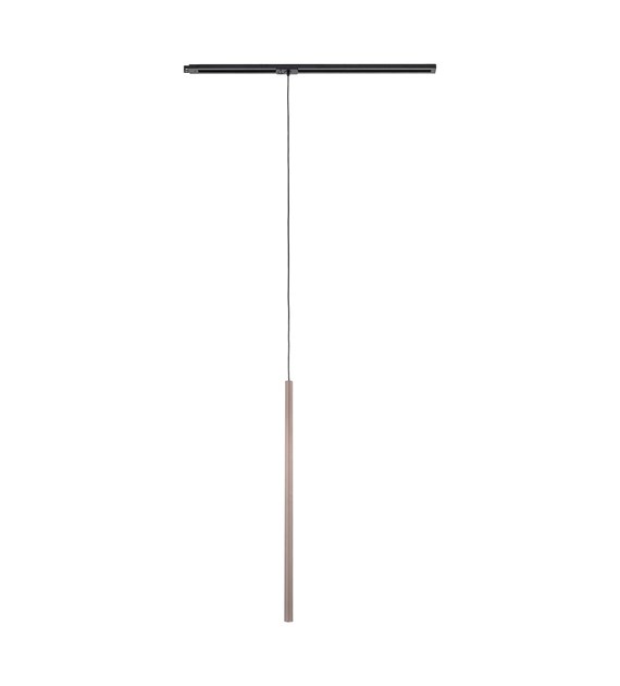 TRACER BROWN 1XG9 10817