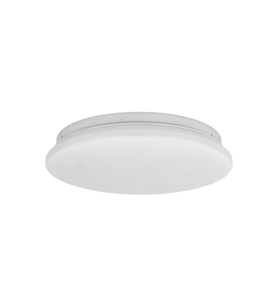 OYSTER 18220