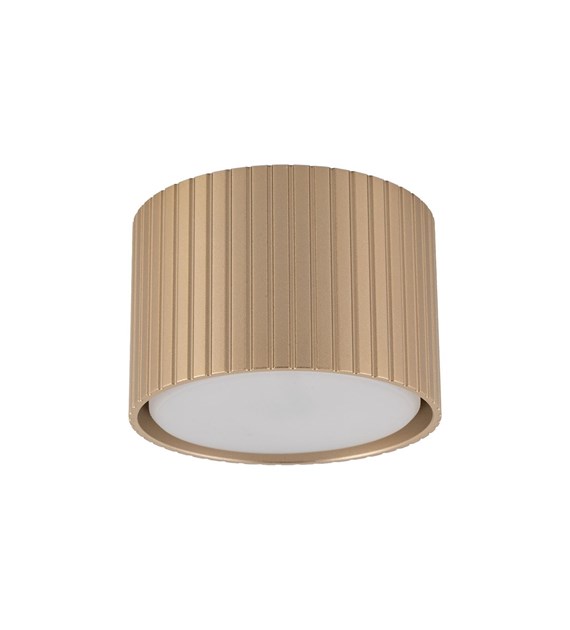 FERRO CHAMPAGNE 11657
