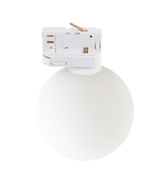 TRACER 11665