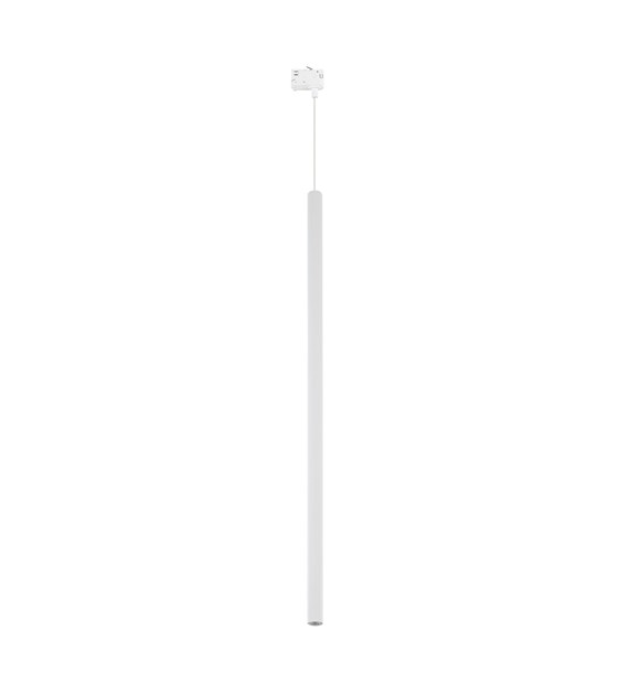 TRACER FERRO 11677
