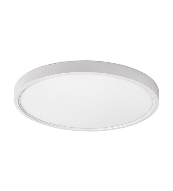 PAULOS 71073