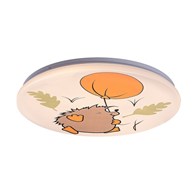 HEDGY 71191