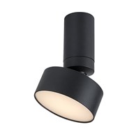 OVIDIA 71321