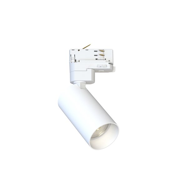 CTLS MONO 10236