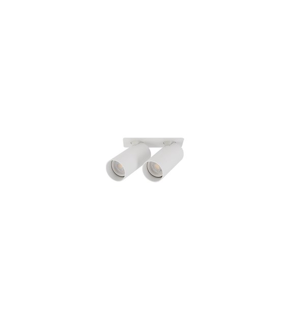 FOURTY 11443