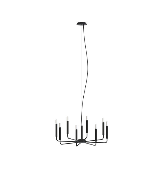 ORTO 11460