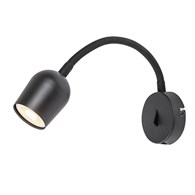 Lianet 73113