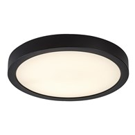 Shaun Plus 75076