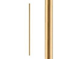CAMELEON LASER 1000 10255