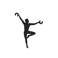 ACROBAT 11794