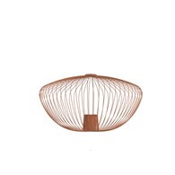 CAMELEON PUMPKIN M 12038