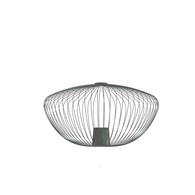 CAMELEON PUMPKIN M 12041