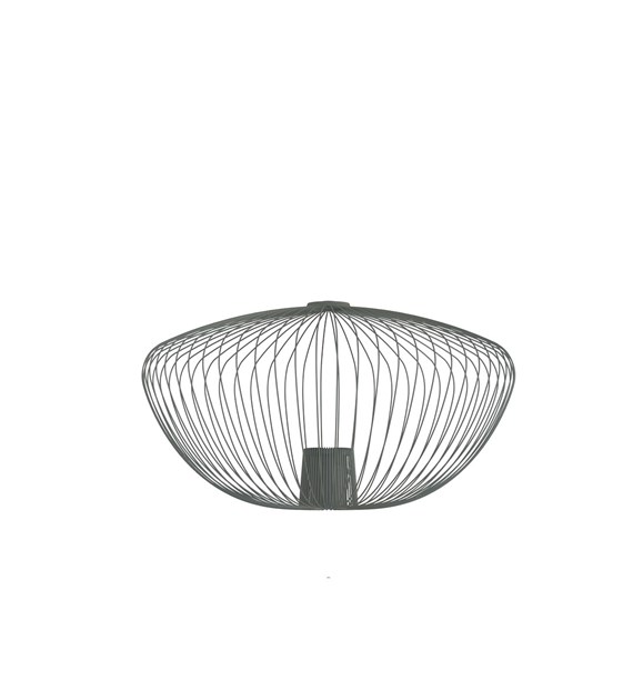 CAMELEON PUMPKIN M 12041