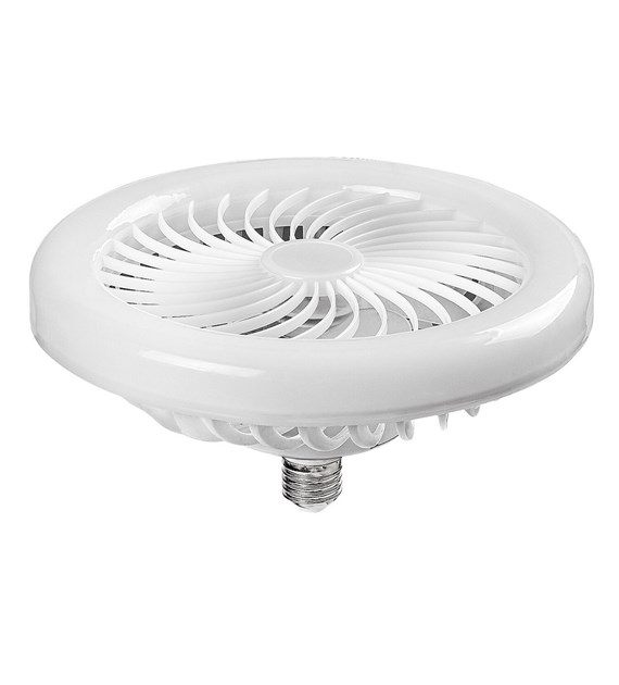 SMD-LED 79231