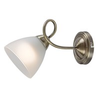 PALOMINA 71480